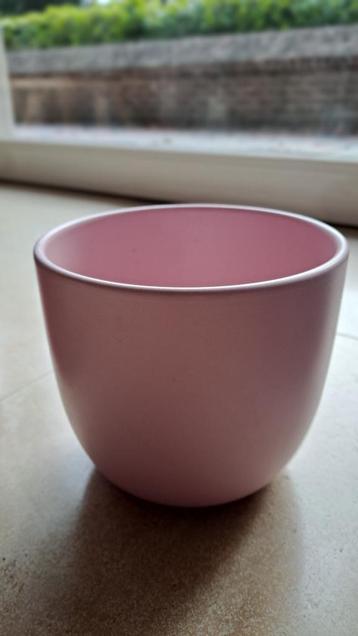 Bloempot beschikbaar voor biedingen