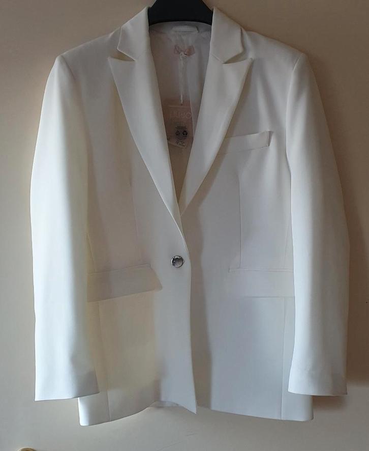 Blazer oversize Liu Jo taille EU 34 - italien 40 - neuf, Vêtements | Femmes, Vestes & Costumes, Neuf, Manteau, Taille 38/40 (M)