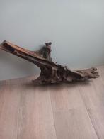 Stuk kienhout en aquariumstenen, Enlèvement