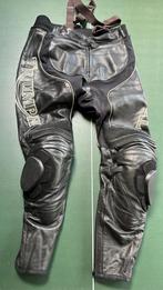 Pantalon cuir moto TRIUMPH, Ophalen, Broek | leer, Heren, Triumph