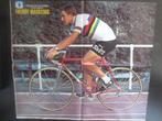 wielerposter team flandria wk freddy maertens, Verzenden, Zo goed als nieuw