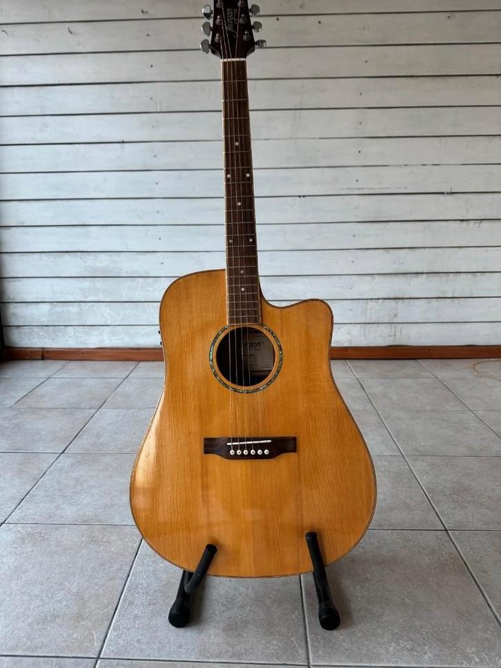 Guitare électro-acoustique Morgan, Musique & Instruments, Instruments à corde | Guitares | Acoustiques, Comme neuf, Enlèvement