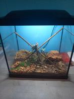 Voir description, Enlèvement