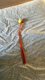 Hondenspeeltje, Dieren en Toebehoren, Ophalen of Verzenden, Zo goed als nieuw