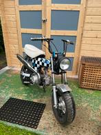 Dax gezocht!, Fietsen en Brommers, Ophalen, Zo goed als nieuw