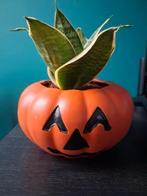 Halloween bloempot, Tuin en Terras, Ophalen, Gebruikt