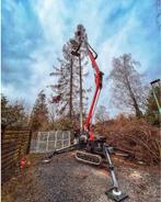 Vellen van bomen /verhakselen van takken tot16cm, Ophalen of Verzenden