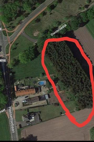 Bosgrond bosland beschikbaar voor biedingen