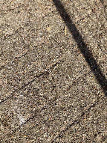GRATIS AF TE HALEN: betonklinkers oprit beschikbaar voor biedingen