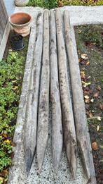 tuinpalen kastagne, Tuin en Terras, Ophalen, Zo goed als nieuw, 250 cm of meer, Palen