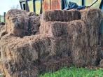 gratis balen ouder hooi als grondbedekking, Ophalen, Vee