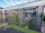 Prachtige VOLIERE volledig aluminium 6m x 3,2m x 2,5m hoog, Dieren en Toebehoren, Vogels | Hokken en Kooien, Ophalen, Zo goed als nieuw