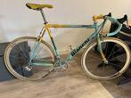 Bianchi Mega Pro XL Mercatone Uno Pantani Campagnolo Shamal, Enlèvement