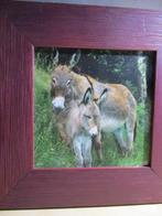 kader met foto, Huis en Inrichting, Woonaccessoires | Schilderijen, Tekeningen en Foto's, Minder dan 50 cm, Ophalen of Verzenden