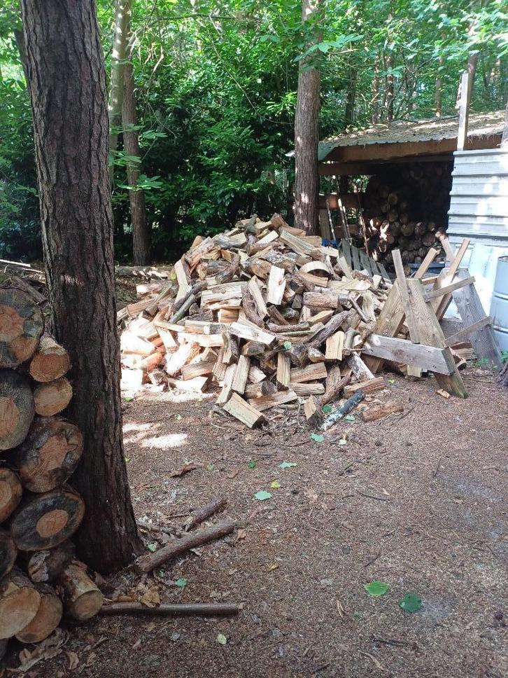 loten brandhout, Tuin en Terras, Brandhout, Blokken, Overige houtsoorten, 6 m³ of meer, Ophalen of Verzenden