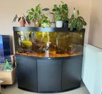 juwel vision 450, Ophalen, Gebruikt, Gevuld zoetwateraquarium
