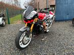 Aprilia rsv1000 Tuono factory Moto, Motos, Entreprise, Autre