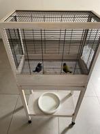 Vogelkooi in hout op wielen, Dieren en Toebehoren, Ophalen, Zo goed als nieuw, Hout, Vogelkooi