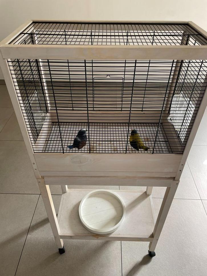 Vogelkooi in hout op wielen, Dieren en Toebehoren, Vogels | Hokken en Kooien, Zo goed als nieuw, Vogelkooi, Hout, Ophalen