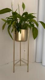 Gouden bloempot met plant, Jardin & Terrasse, Pots de fleurs, Enlèvement, Neuf, Intérieur