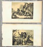 2 prenten Madagascar, 1x Winchester Cathedral 1x Burkitt, Antiek en Kunst, Kunst | Overige Kunst, Ophalen of Verzenden