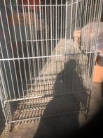Gegalviseerde aardappelbak 100kg afmeting 0,70m breed,1m hoi, Ophalen of Verzenden