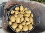 Nieuwe aardappelen(frieslanders), Diversen, Ophalen