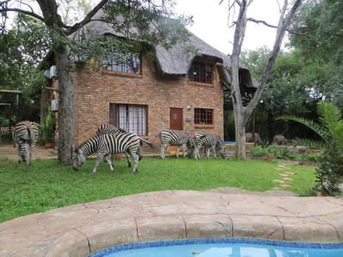 Soleil et safari en Afrique du Sud. Villa de brousse abordab, Vacances, Maisons de vacances | Autres pays, Maison de campagne ou Villa