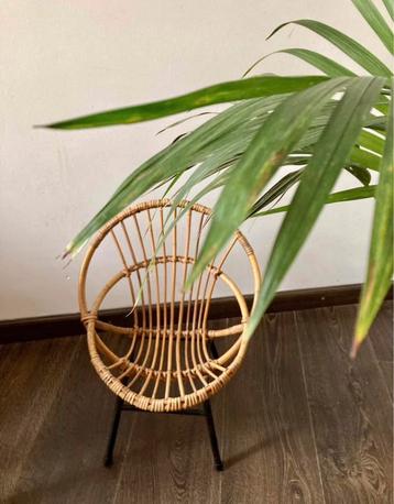 Vintage rotan kinderstoel beschikbaar voor biedingen