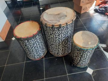 3 Doundouns  beschikbaar voor biedingen