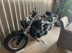 Harley Dyna Fat-Bob, Motoren, 1600 cc, Chopper, Particulier