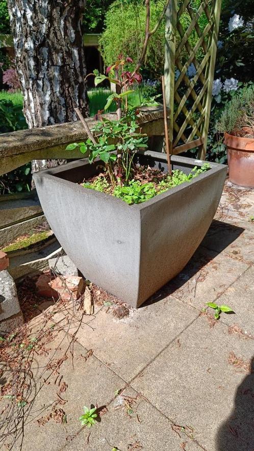 diverse grote bloempotten voor binnen en buiten vanaf 15 eur, Tuin en Terras, Bloempotten, Gebruikt, Binnen, Tuin, Ophalen