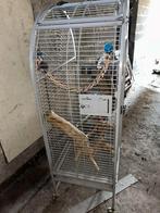 Cage de grand perroquet ou oiseau, perruche, Ophalen, Zo goed als nieuw