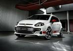 Fiat Punto 1.3 Mjet 85pk --> 125pk, Ophalen of Verzenden, Nieuw, Fiat