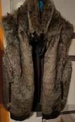 Veste sans manches neuve jamais portée, taille 36, Kleding | Dames, Jassen | Winter, Ophalen, Nieuw