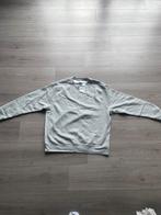 Nike grijze sweater / trui met logo – nieuw maat XL, Ophalen, Nike, Grijs, Maat 56/58 (XL)