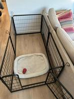 Hondenren te koop, Dieren en Toebehoren, Ophalen, Zo goed als nieuw