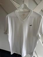 witte T-shirt Hollister maat M, Ophalen of Verzenden, Maat 48/50 (M), Wit, Hollister