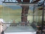 Kooi voor hamster, muis, gerbil,..., Dieren en Toebehoren, Ophalen, Kooi, Hamster, 60 tot 90 cm