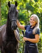Instructie aangeboden | dressuur, Dieren en Toebehoren, Stalling en Weidegang
