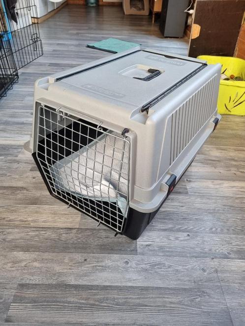 Cage transport chien, Dieren en Toebehoren, Transportboxen, Zo goed als nieuw, Ophalen