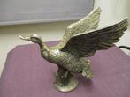 STATUE D'UN CANARD VOLANT EN LAITON ARGENTÉ, Enlèvement ou Envoi