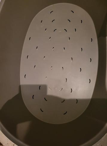 Hondenmand  beschikbaar voor biedingen