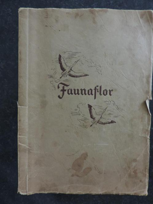 Faunaflor (Cote d'or), Livres, Livres d'images & Albums d'images, Utilisé, Livre d'images, Enlèvement ou Envoi