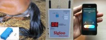 Te huur - birth alarm / foaling alarm Sigloo