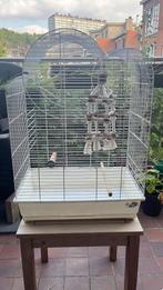 Cage pour oiseaux, Animaux & Accessoires, Oiseaux | Cages & Volières, Comme neuf, Autres matériaux, Enlèvement, Cage à oiseaux