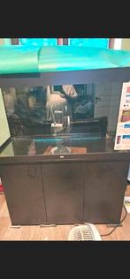 Aquarium juwel Rio 350L als nieuw, Dieren en Toebehoren, Vissen | Aquaria en Toebehoren, Ophalen, Zo goed als nieuw