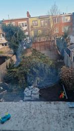 Takken brandhout gratis, Tuin en Terras, Brandhout, Ophalen of Verzenden, Takken