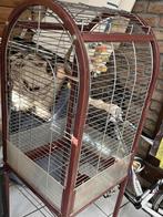 Cage grandes perruches ou petit perroquet, Ophalen, Zo goed als nieuw