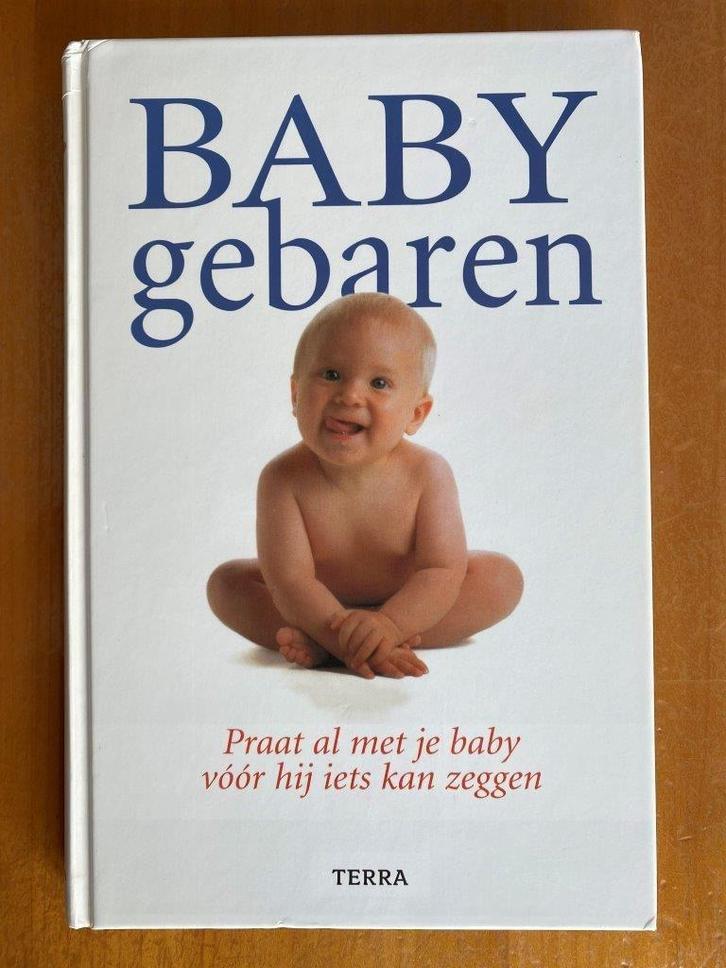 BABY gebaren boek, Boeken, Kinderboeken | Baby's en Peuters, Zo goed als nieuw, 6 tot 12 maanden, Ophalen of Verzenden
